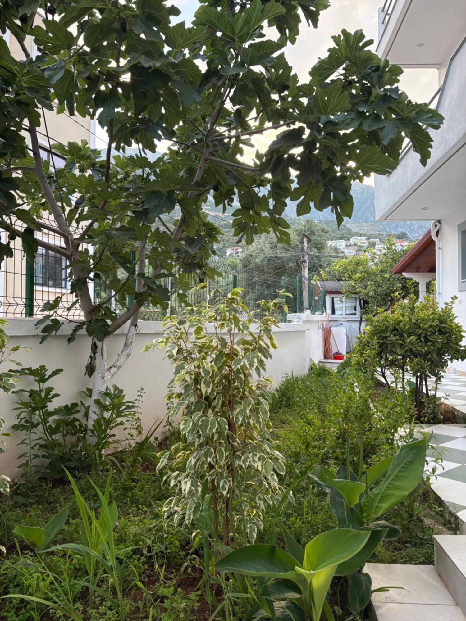Pensjonat Yard Paradise *